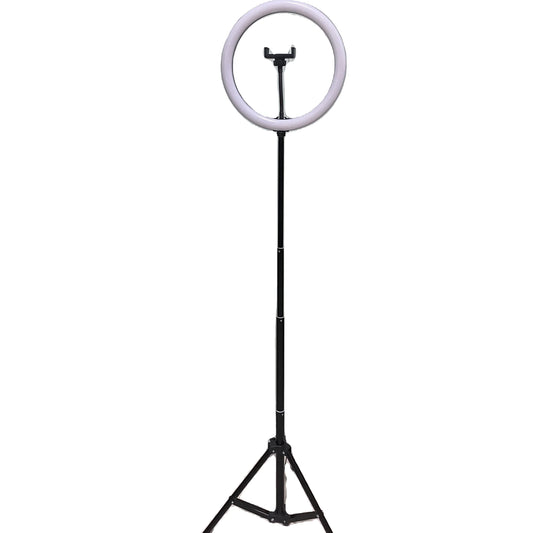 Portable Ring Light 2